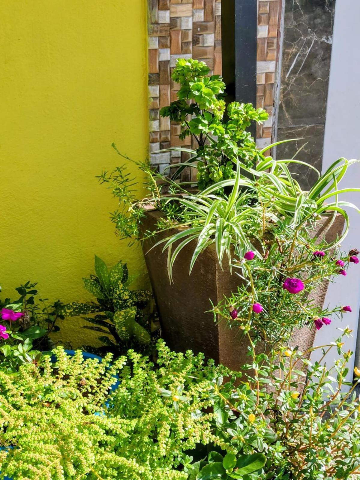 Hospedagem Encantos Da Serra Itatiaia (Rio de Janeiro) Exterior foto
